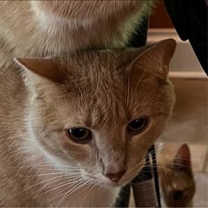 Meet your Posher, Colleen